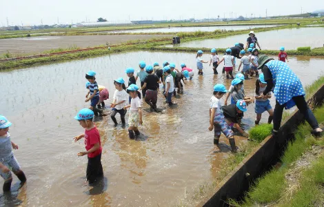 田植えを体験する園児たち